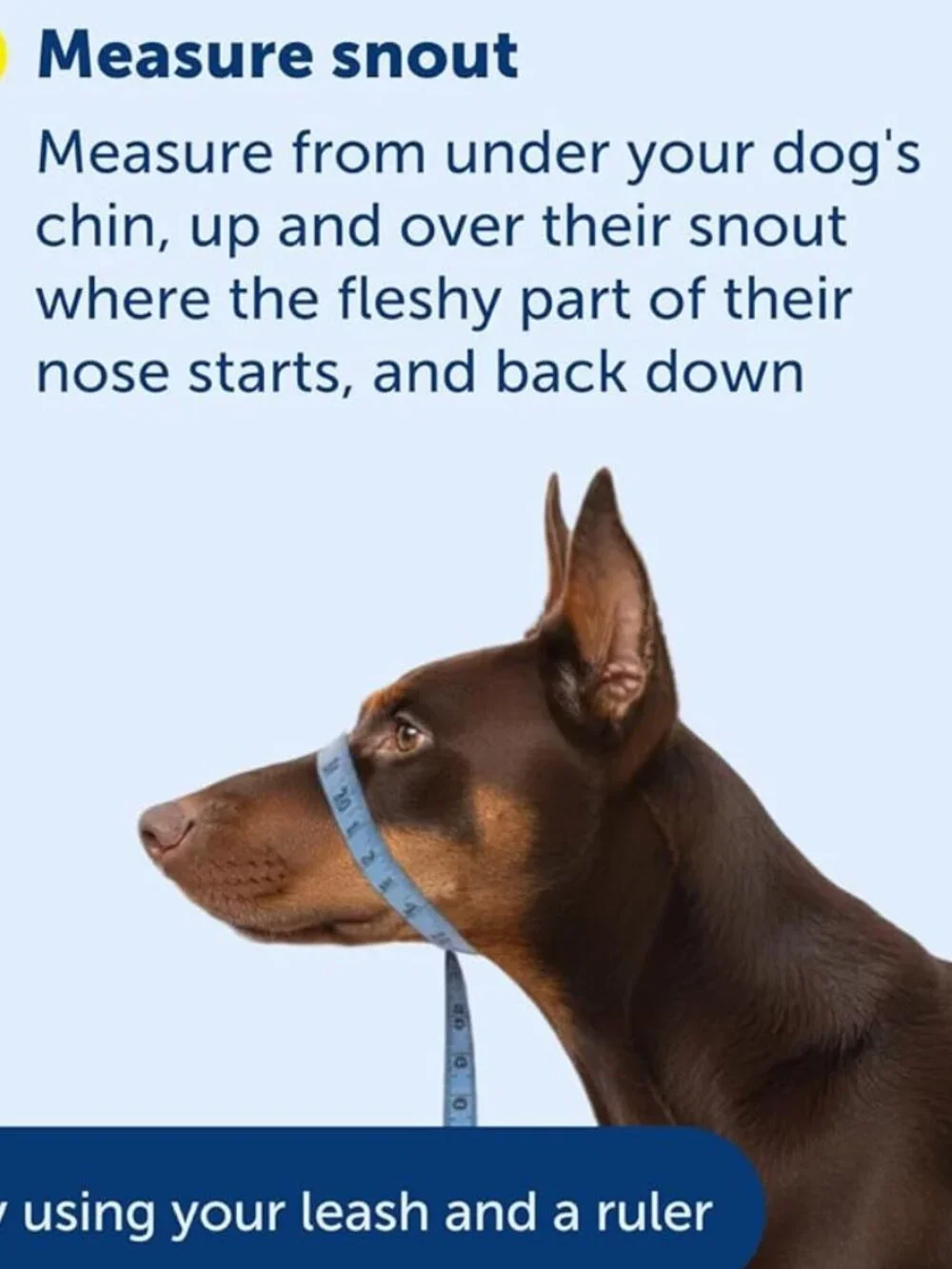 PetSafe Gentle Leader No-Pull Dog Headcollar Large Black